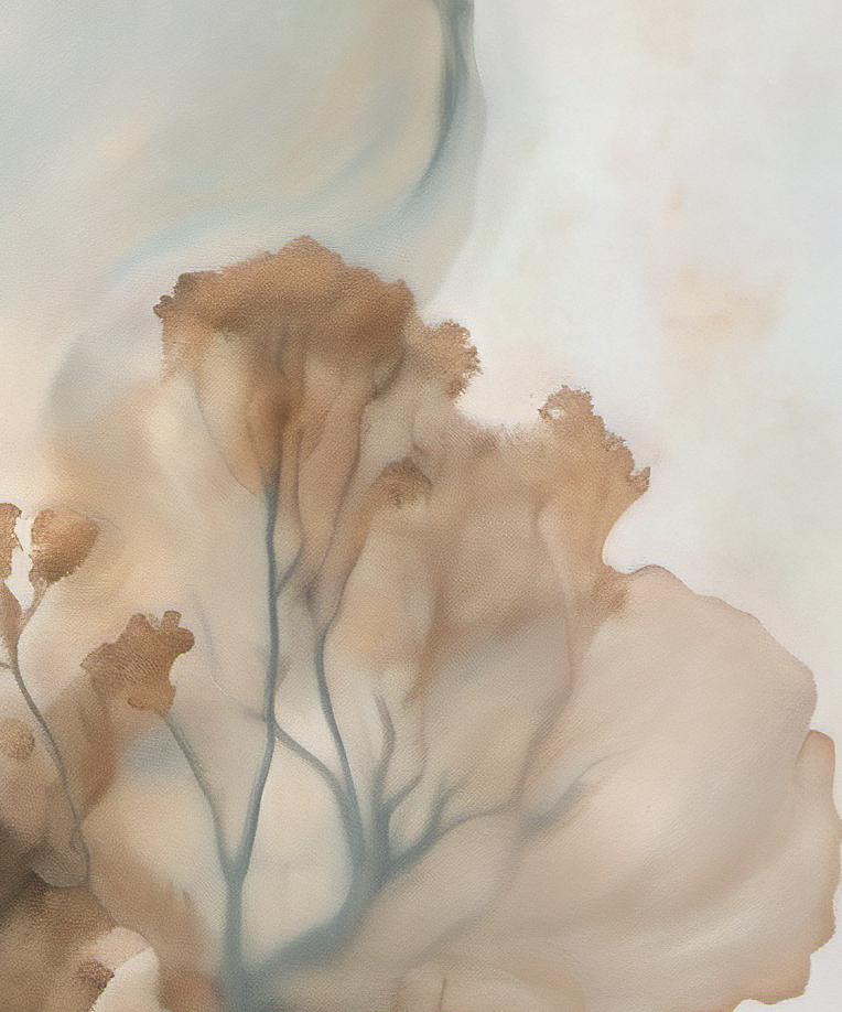 Artistic depiction of coral with a soft, pastel color palette on a light background