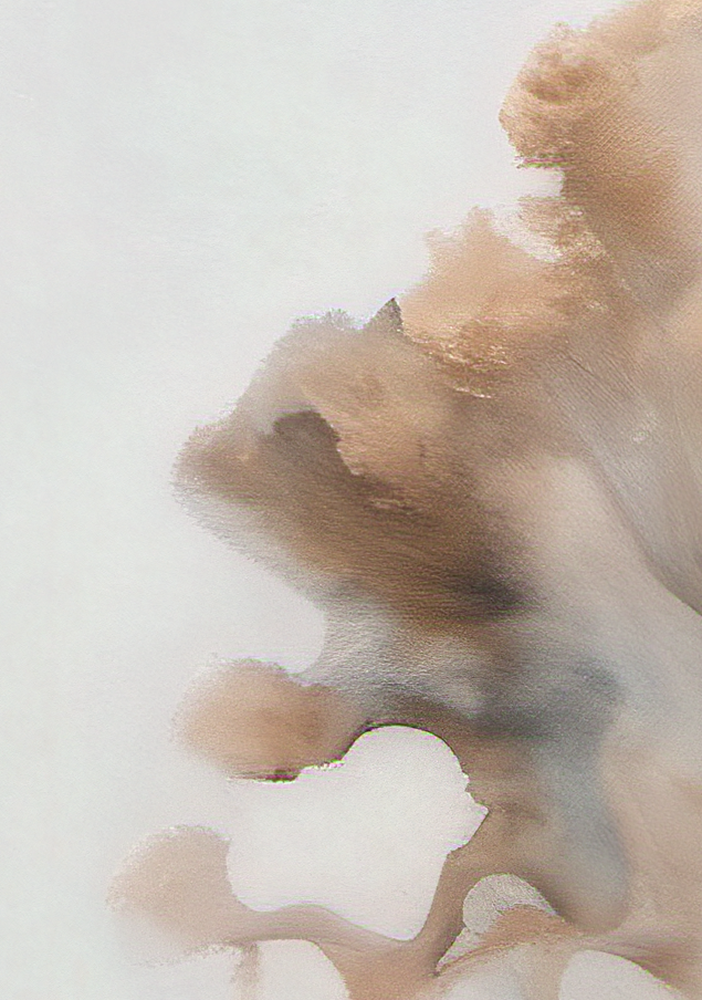Abstract brown ink blotch on a white background