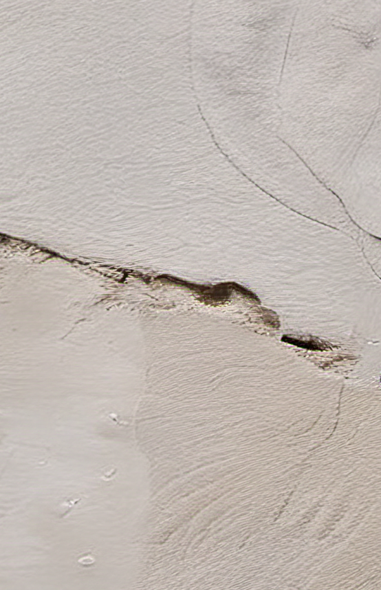 Close-up of a textured white surface with a crack.