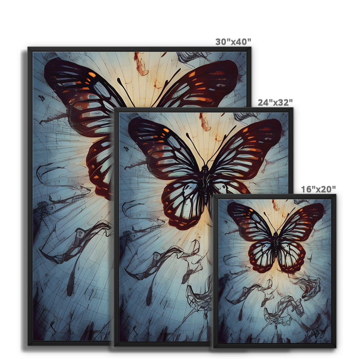 Butterfly 1