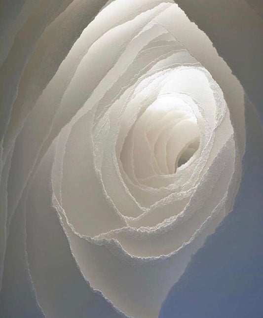 Paper Sculpture Wonders: The Spellbinding Art of Angela Glajcar