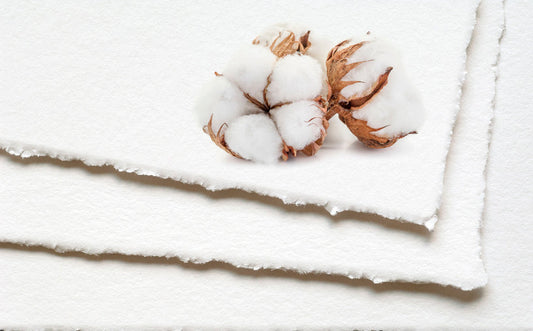 structural layers and chemical characteristics of archival fine art paper