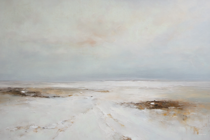 Wetland landscape with water and sky, featuring a path.