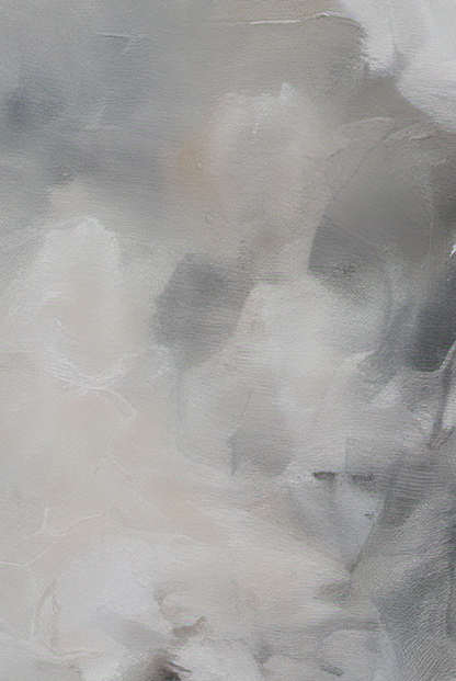 Close-up of a white cat with a blurred background