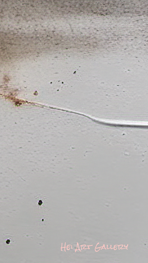 Close-up of a textured gray surface with a small white object and brown stain.