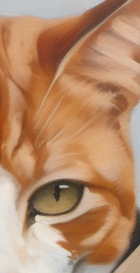 Close-up of a cat's face with a focus on its eye.