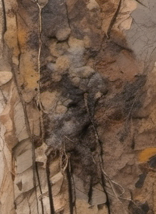Close-up of a textured stone wall with various shades of brown and gray.