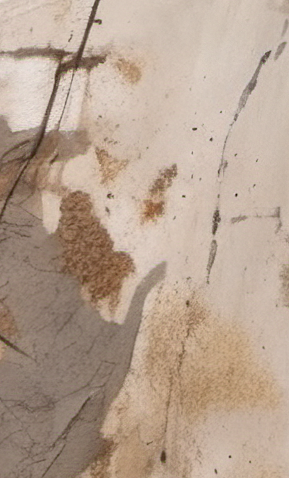 Close-up of a textured surface with brown patches and black lines