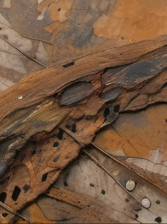 Close-up of textured brown and beige surface with organic patterns